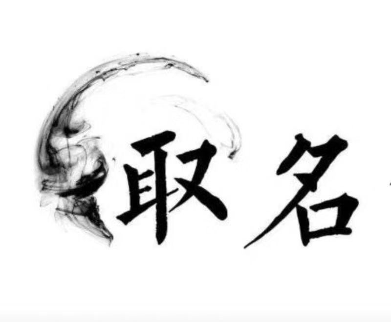 广安宝宝取名 大师一对一人工起名